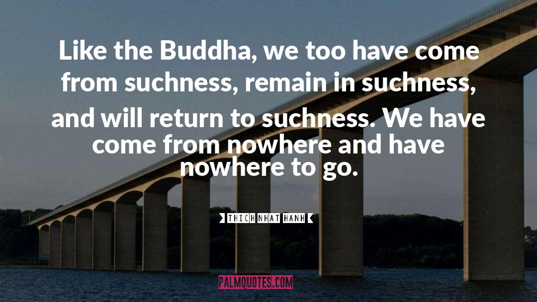 The Buddha quotes by Thich Nhat Hanh