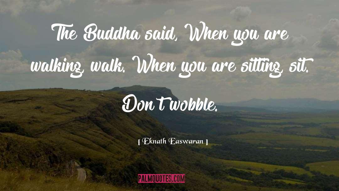 The Buddha quotes by Eknath Easwaran
