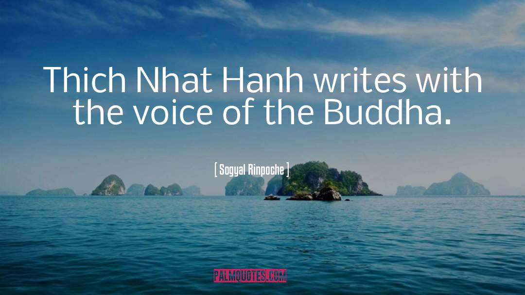 The Buddha quotes by Sogyal Rinpoche