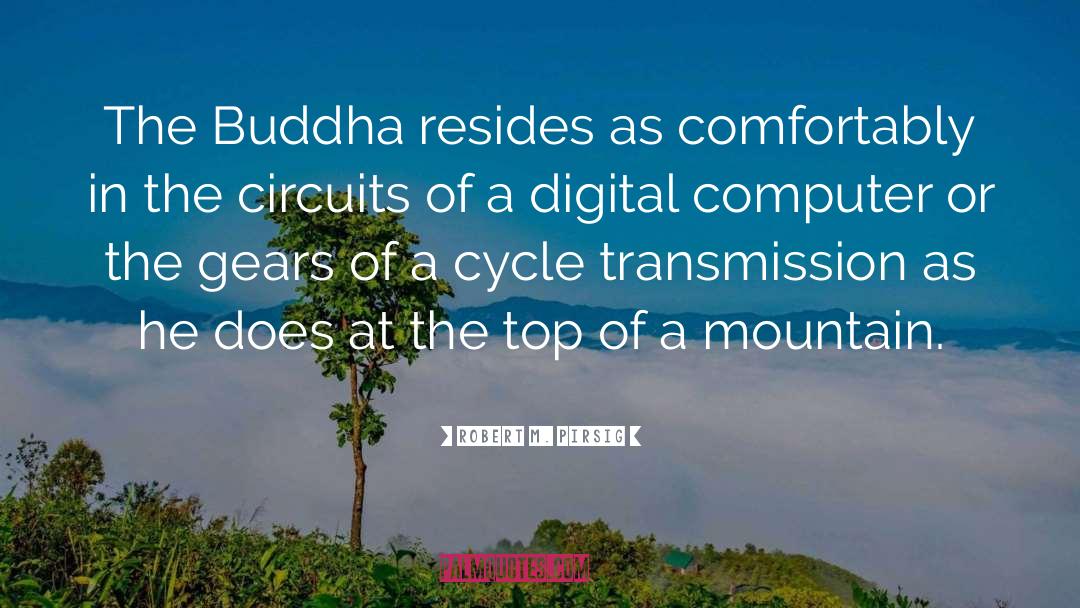 The Buddha quotes by Robert M. Pirsig
