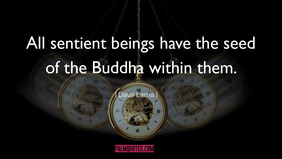 The Buddha quotes by Dalai Lama