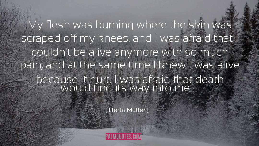 The Burning Times quotes by Herta Muller