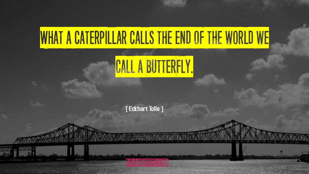 The Butterfly Effect quotes by Eckhart Tolle