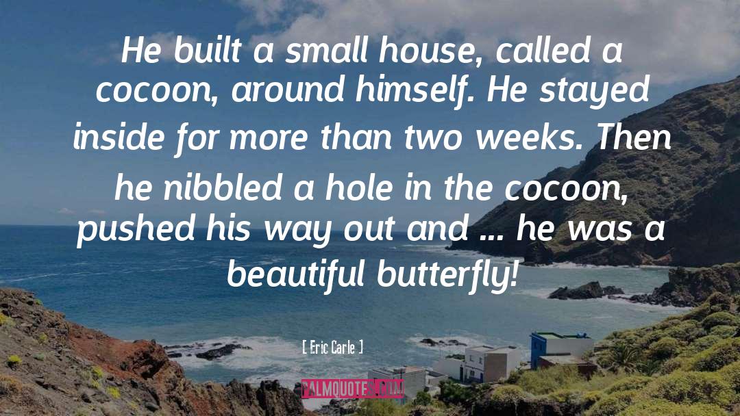 The Butterfly Effect quotes by Eric Carle