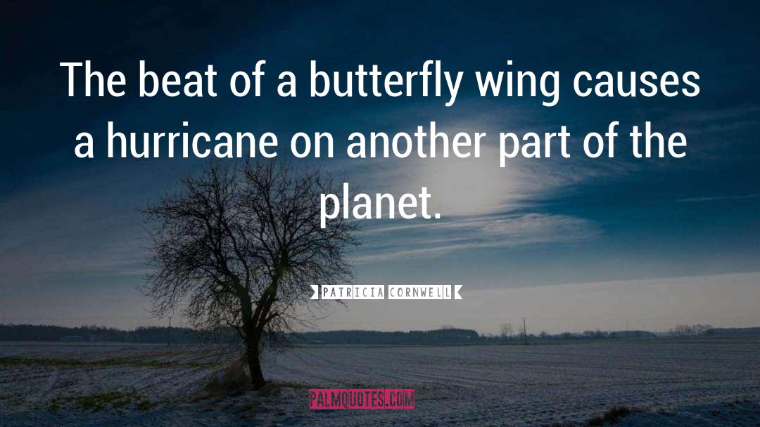 The Butterfly Effect quotes by Patricia Cornwell