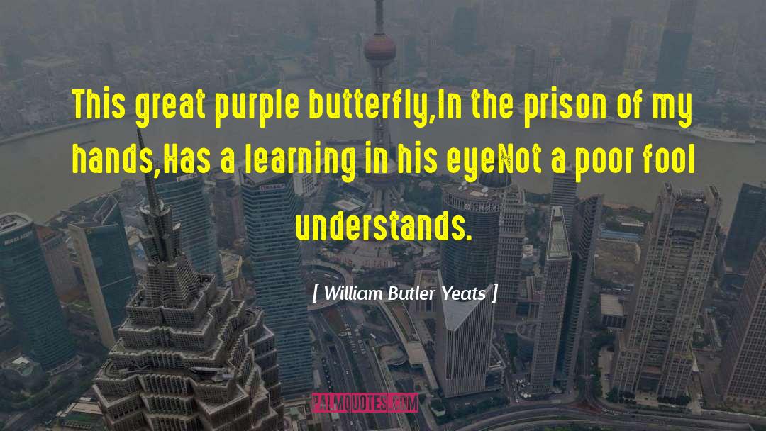 The Butterfly Effect quotes by William Butler Yeats