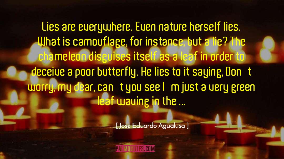 The Butterfly Garden quotes by Jose Eduardo Agualusa