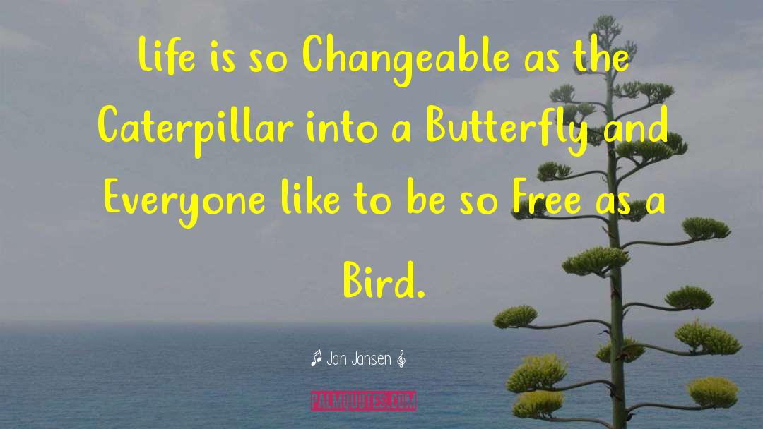 The Butterfly Garden quotes by Jan Jansen