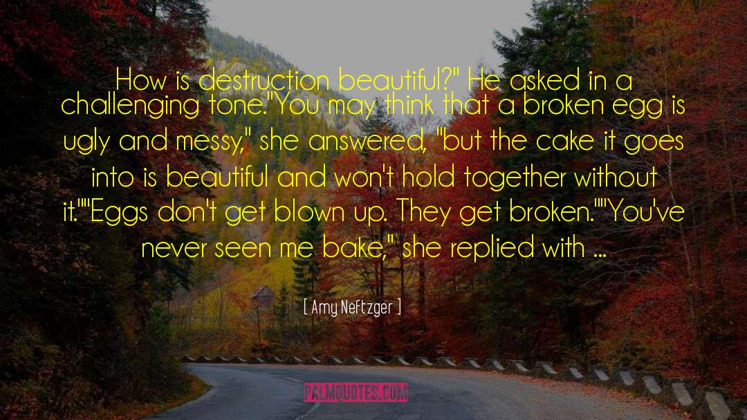 The Cake Is A Lie quotes by Amy Neftzger