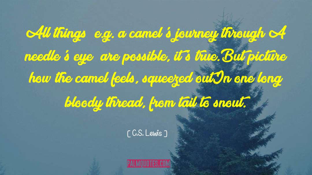 The Camel S Back quotes by C.S. Lewis