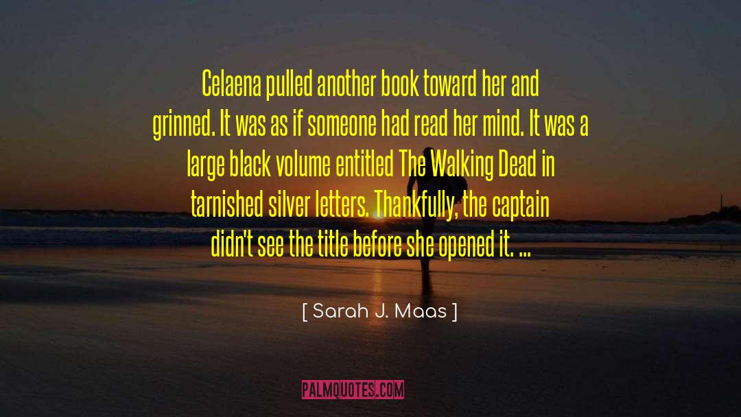 The Captain quotes by Sarah J. Maas