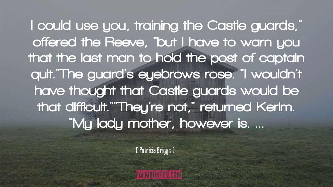 The Castle quotes by Patricia Briggs