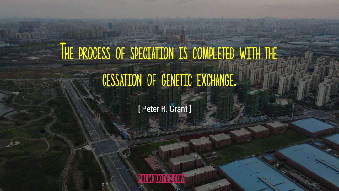 The Cessation Of Dukkha quotes by Peter R. Grant