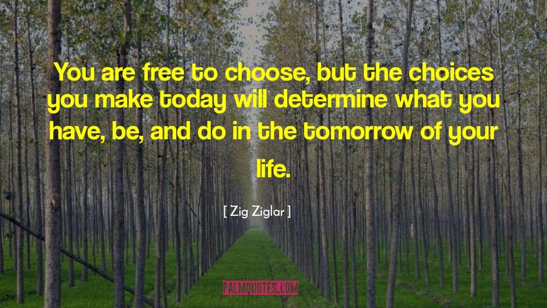 The Choices You Make quotes by Zig Ziglar