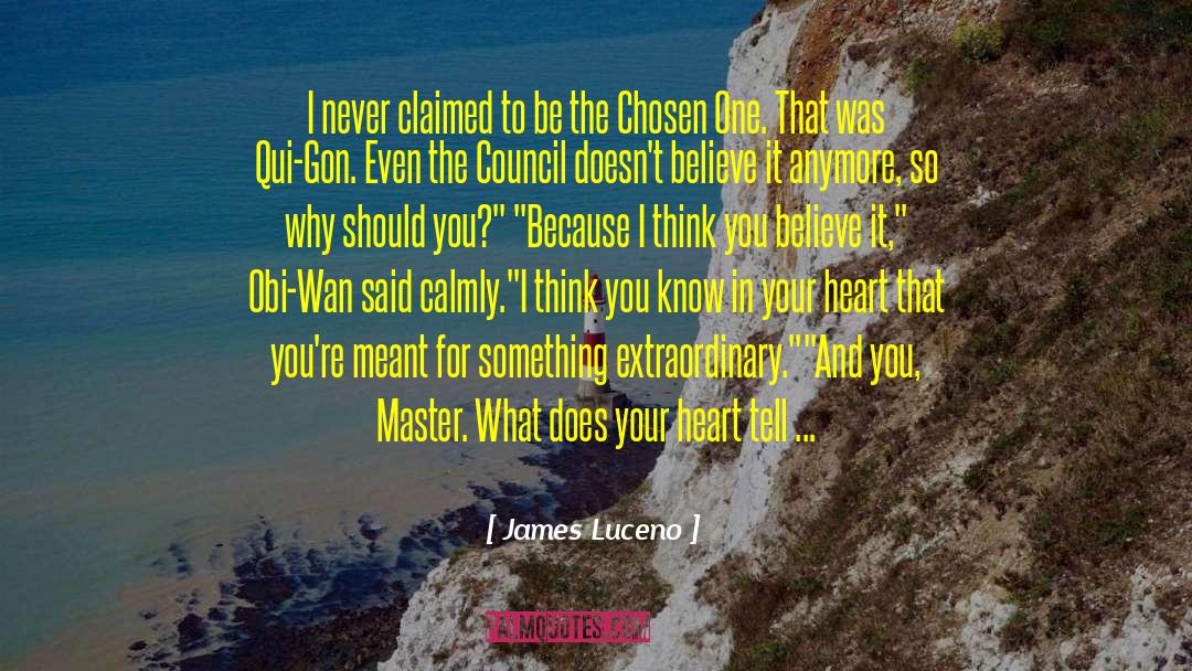 The Chosen One quotes by James Luceno