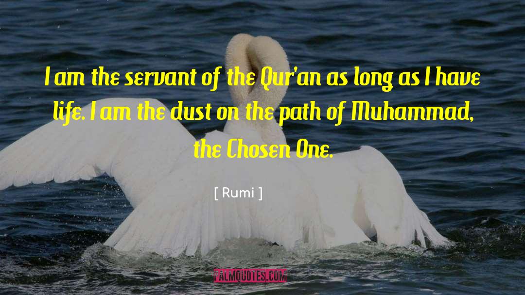 The Chosen One quotes by Rumi