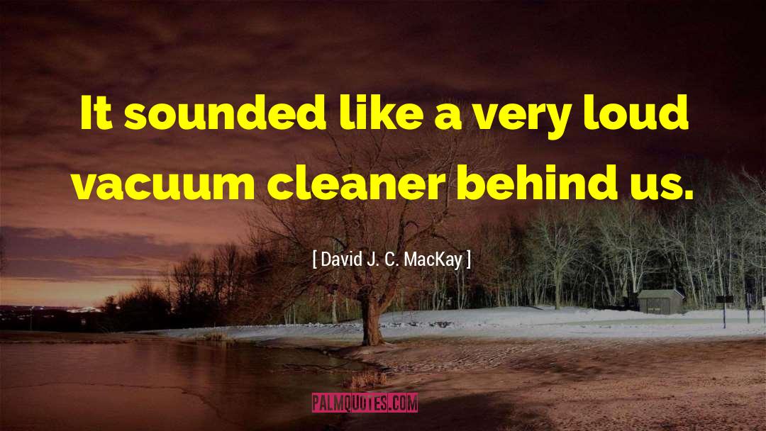 The Cleaner quotes by David J. C. MacKay
