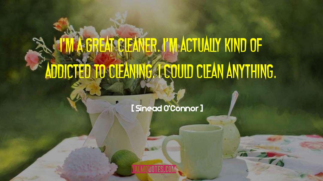 The Cleaner quotes by Sinead O'Connor