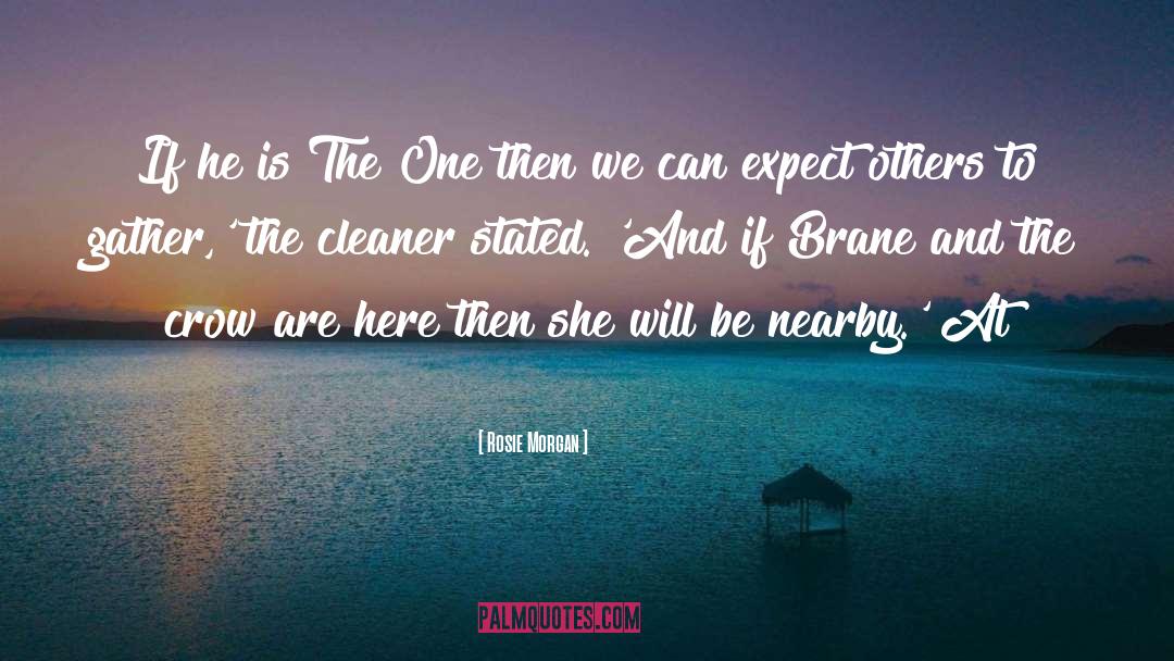 The Cleaner quotes by Rosie Morgan