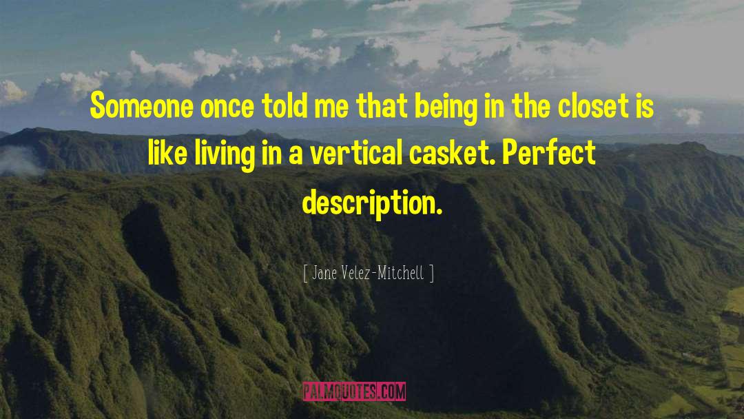 The Closet quotes by Jane Velez-Mitchell