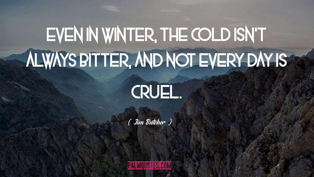 The Cold quotes by Jim Butcher