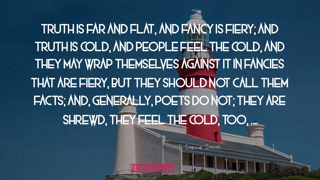 The Cold quotes by Stevie Smith