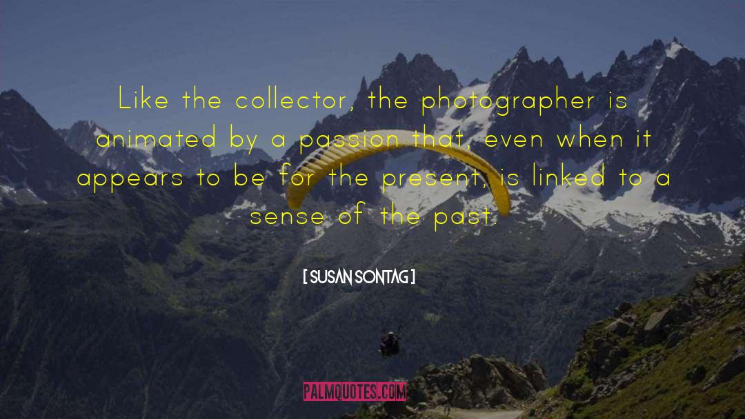 The Collector quotes by Susan Sontag