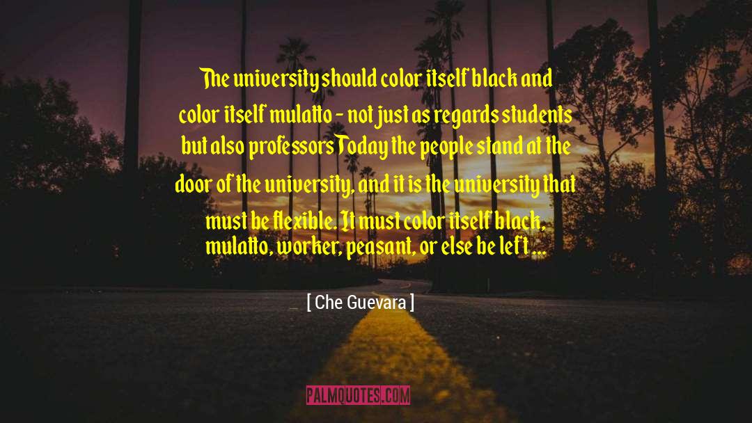 The Color Pink quotes by Che Guevara