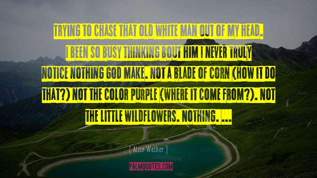 The Color Purple quotes by Alice Walker
