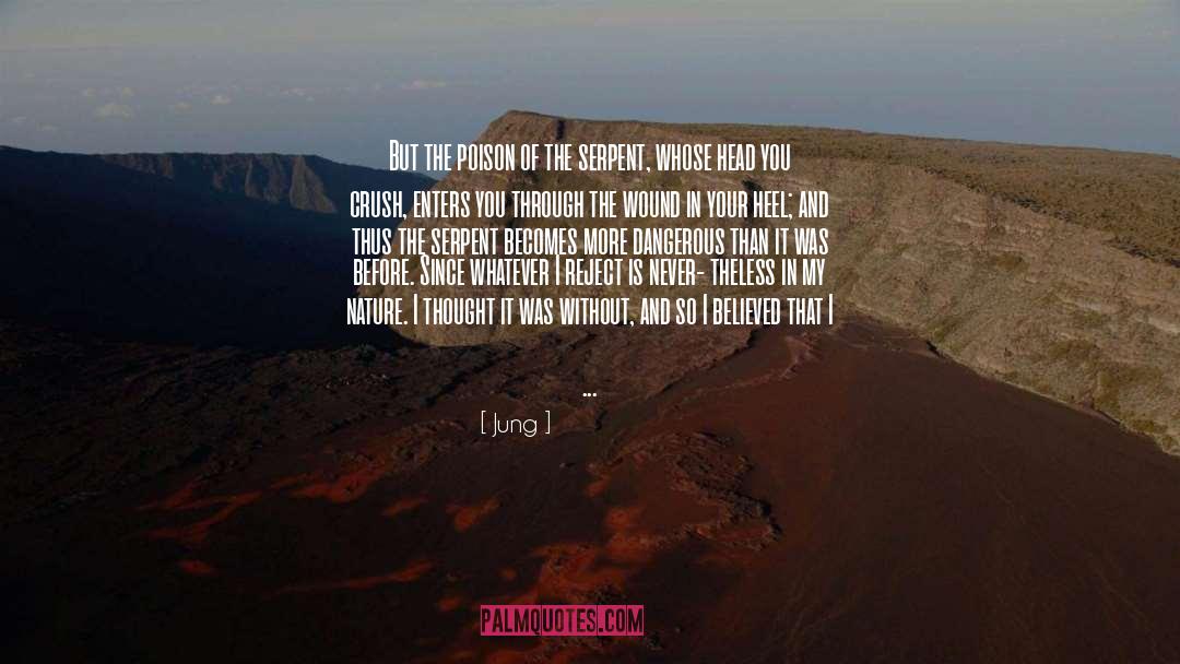 The Conqueror S Saga quotes by Jung