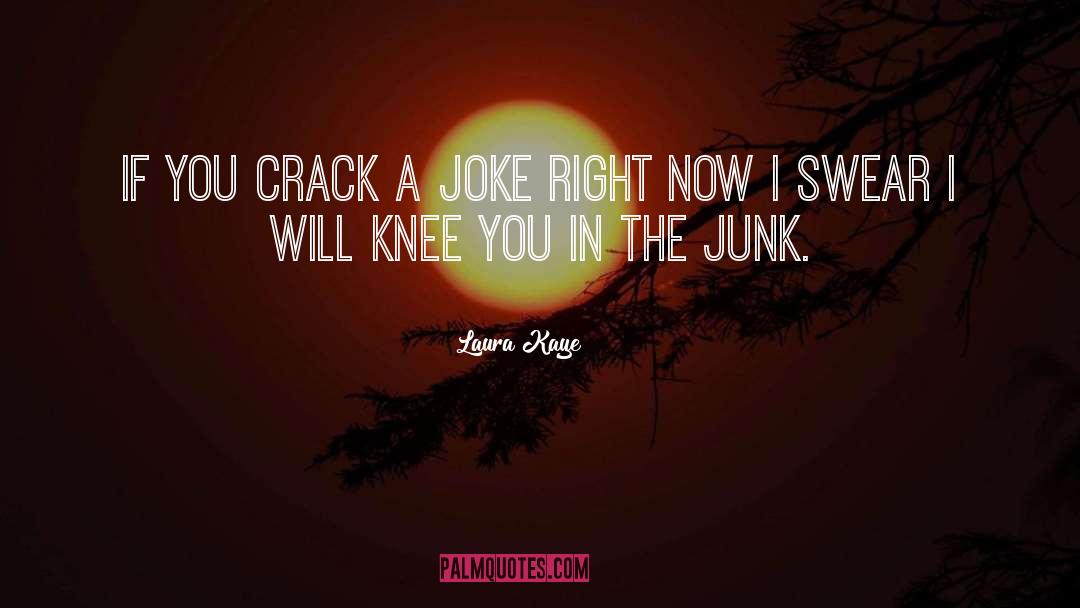 The Crack Up quotes by Laura Kaye