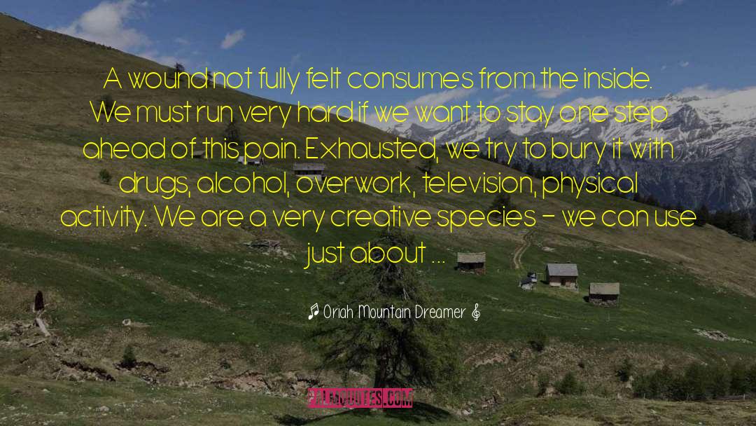 The Creative Imperative quotes by Oriah Mountain Dreamer
