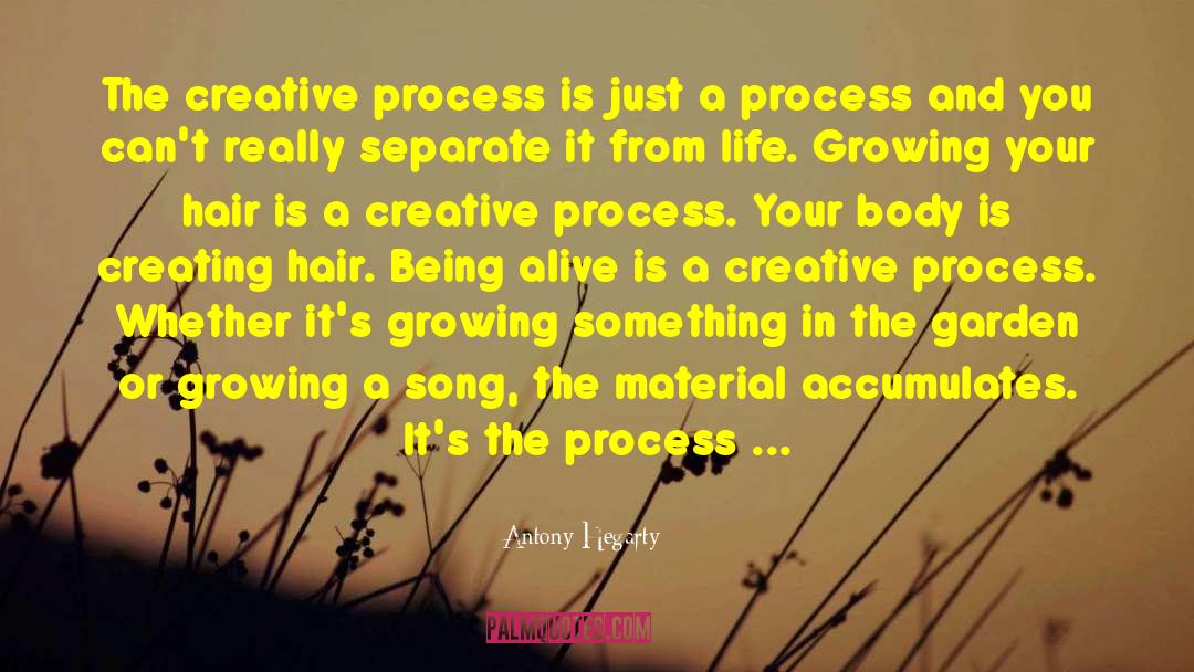 The Creative Process quotes by Antony Hegarty