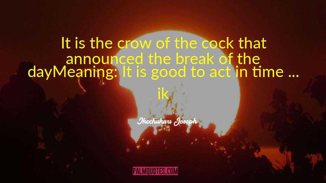 The Crow quotes by Ikechukwu Joseph