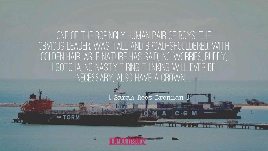 The Crown Tower quotes by Sarah Rees Brennan