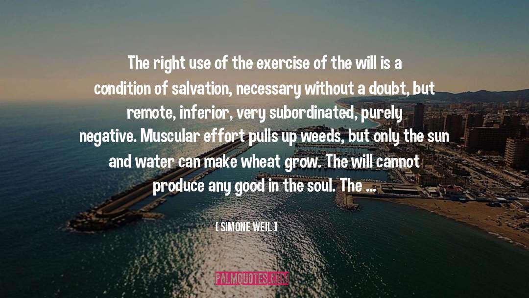 The Crucifixion quotes by Simone Weil