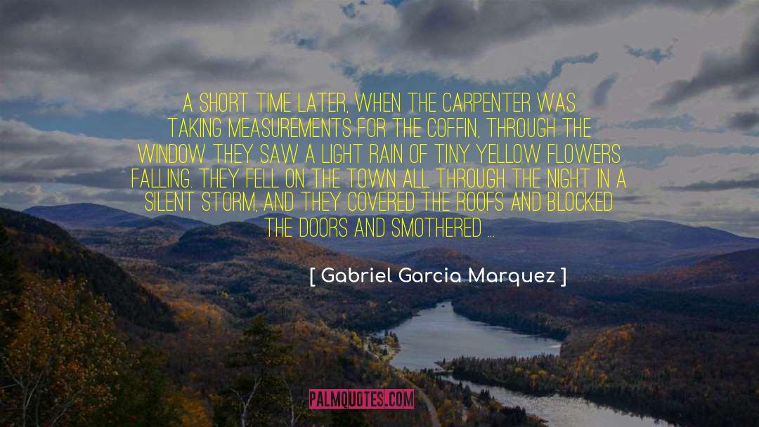 The Cushion In The Road quotes by Gabriel Garcia Marquez