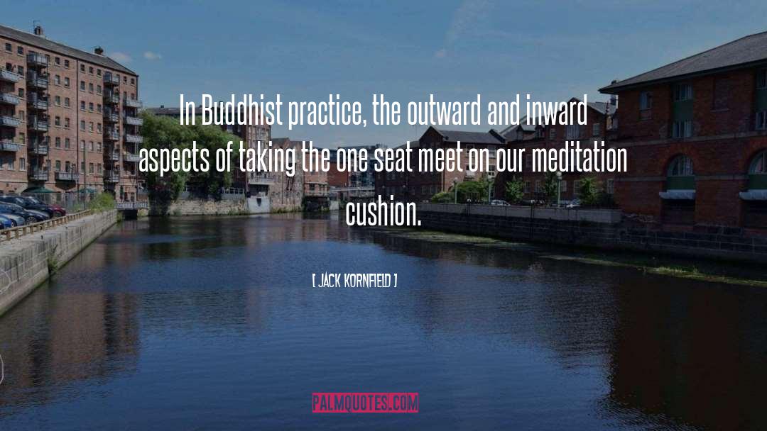 The Cushion In The Road quotes by Jack Kornfield