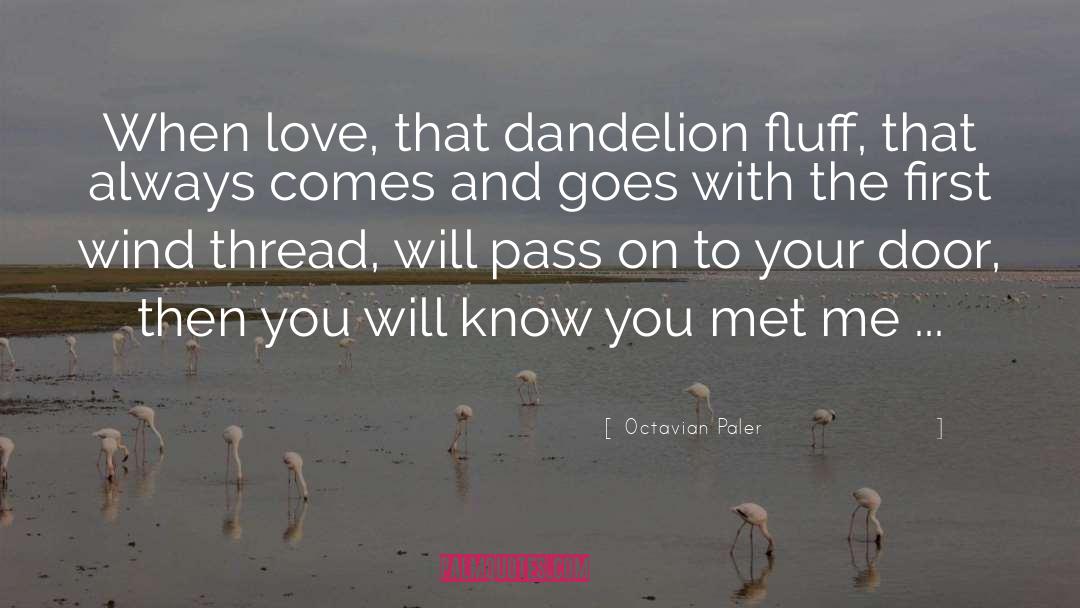 The Dandelion Girl quotes by Octavian Paler