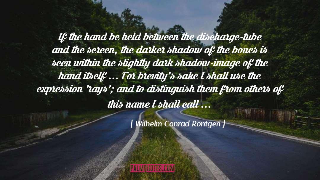 The Dark Dictionary quotes by Wilhelm Conrad Rontgen