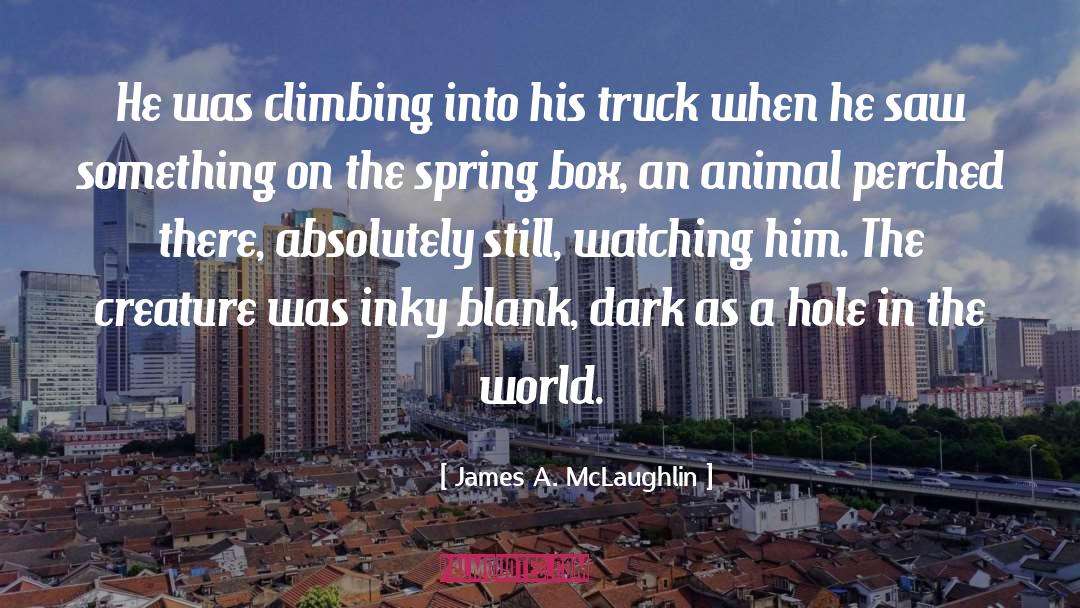 The Dark Divide quotes by James A. McLaughlin