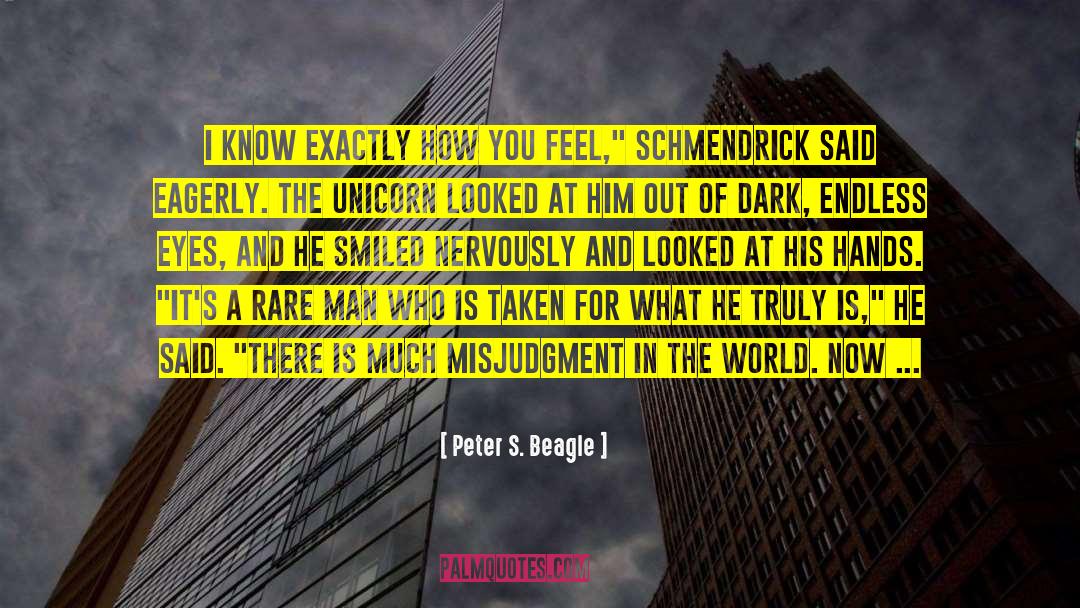 The Dark Highlander quotes by Peter S. Beagle