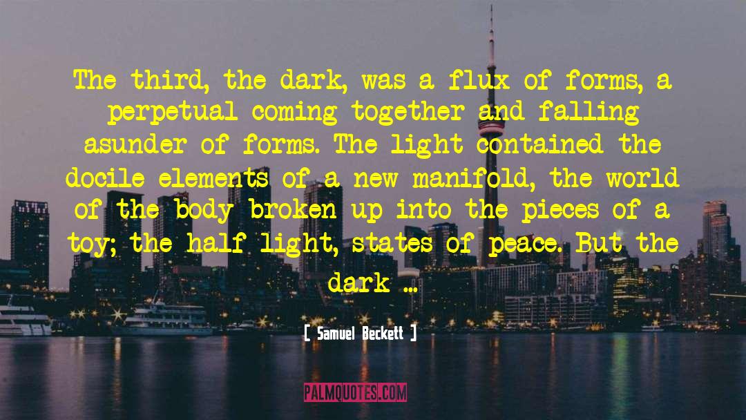 The Dark Light Of Day quotes by Samuel Beckett
