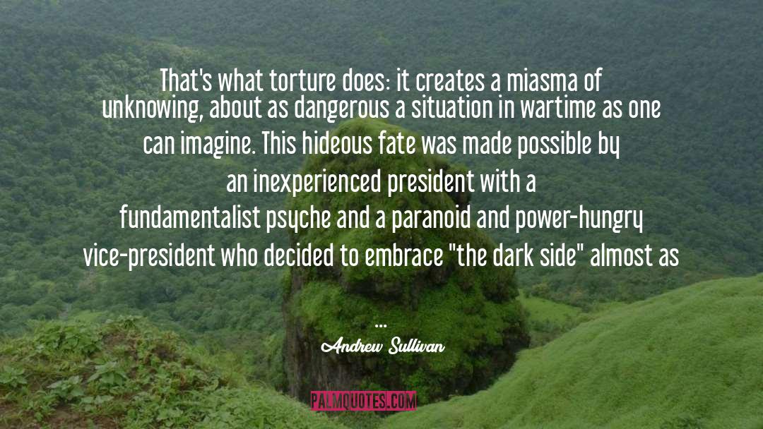 The Dark Side quotes by Andrew Sullivan