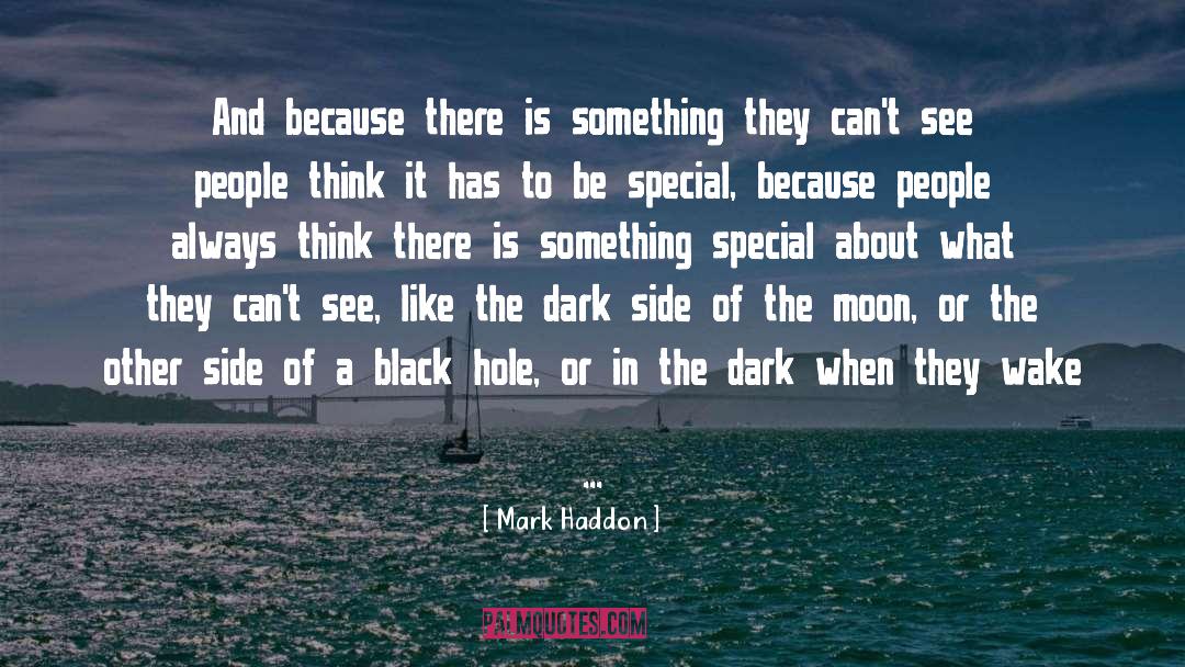 The Dark Side quotes by Mark Haddon