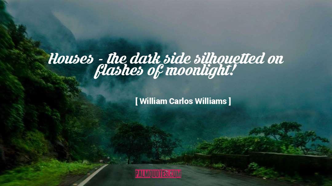 The Dark Side quotes by William Carlos Williams
