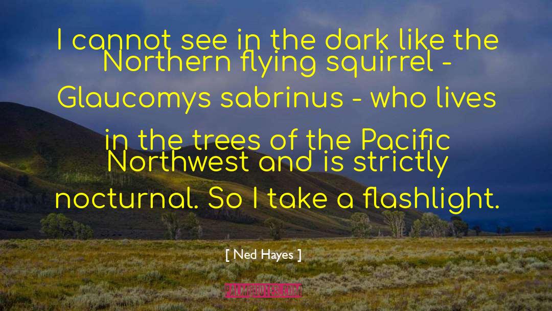 The Dark War quotes by Ned Hayes