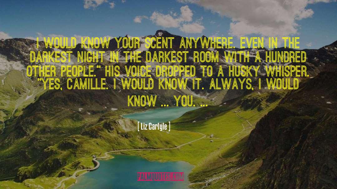 The Darkest Night quotes by Liz Carlyle