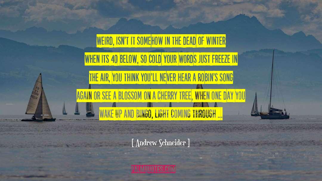 The Dead Of Winter quotes by Andrew Schneider