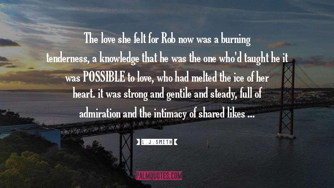 The Death Of A Love One quotes by L.J.Smith